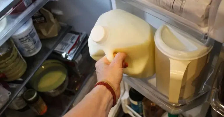 close up fridge milk yogurt preventing foodwaste Germany
