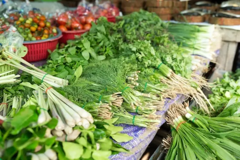 keep herbs fresh wet paper kitchen