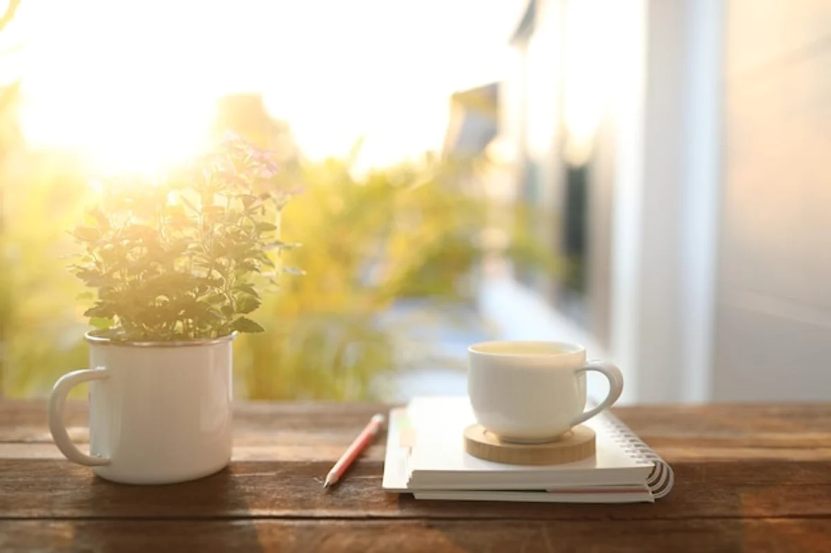 healthy morning routine productive workspace laptop window daylight