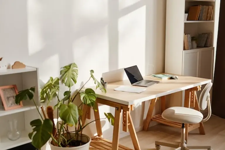 modern minimalist feng shui home office desk with sunlight