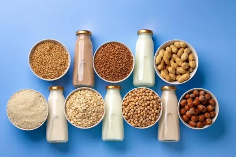 plant based milk assortment with cereals and nuts