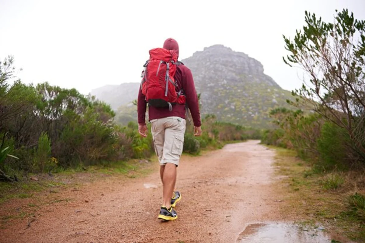 active people walking forest Germany nature fitness
