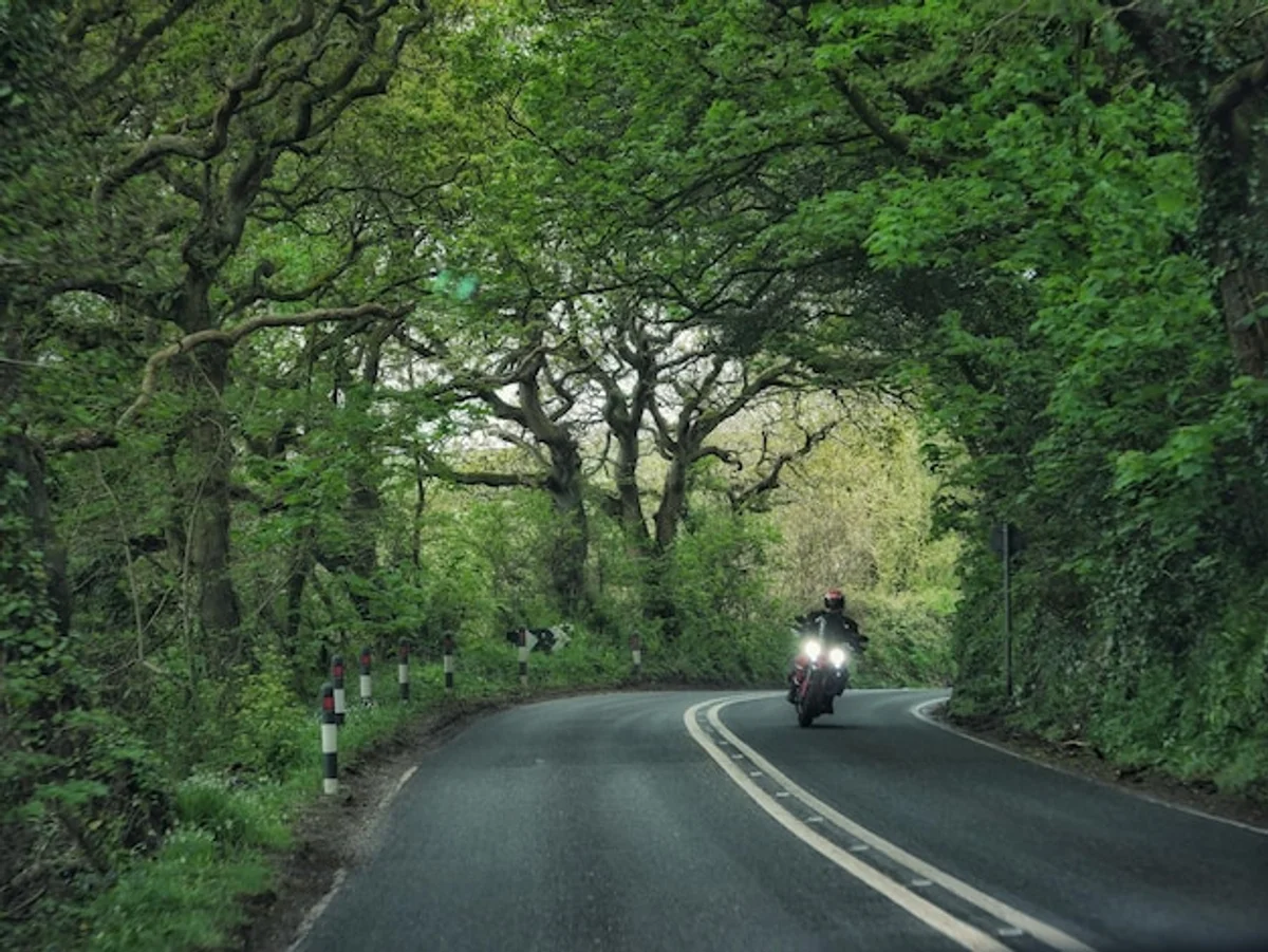 cycling adventure travel Germany nature green