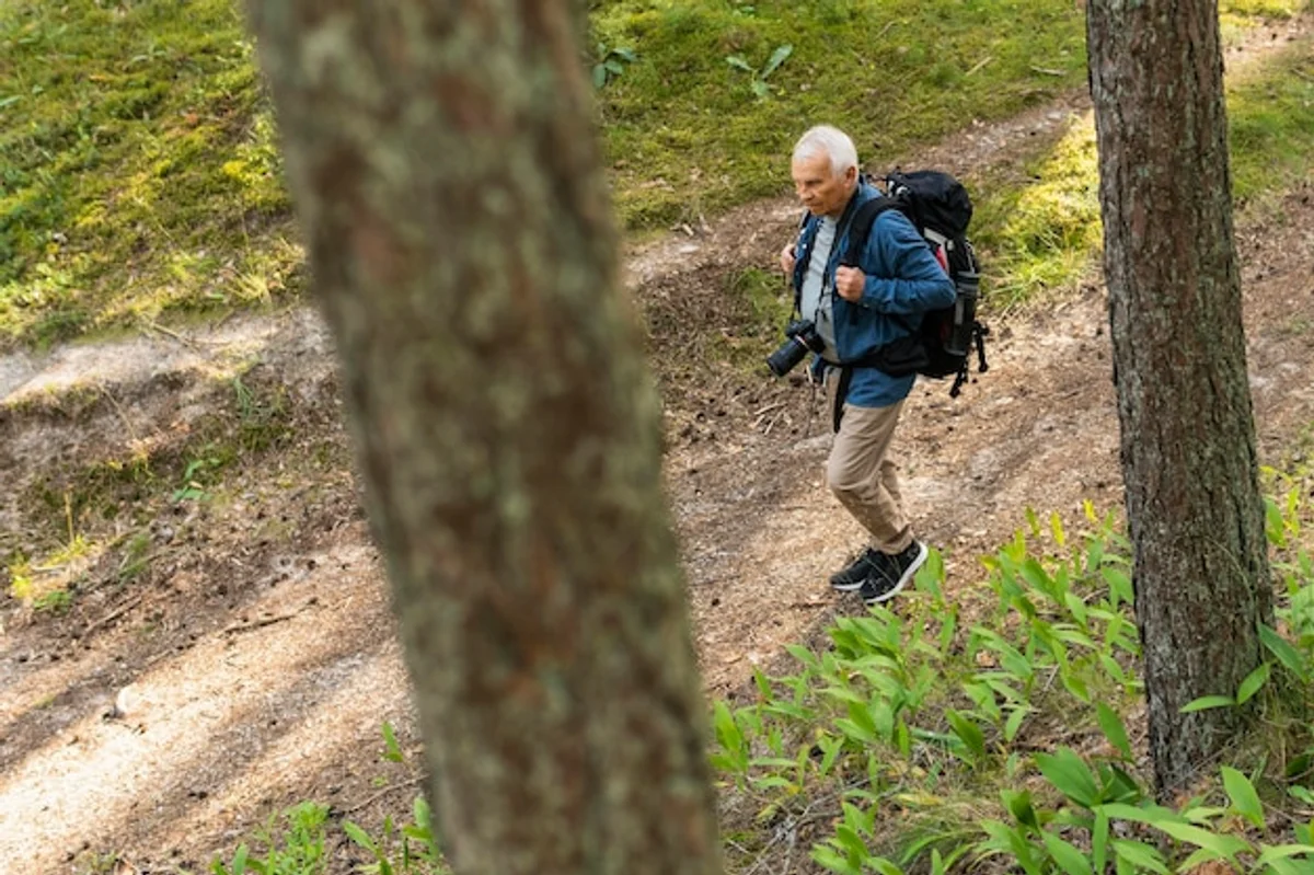 active senior couple outdoors nordic walking nature Germany