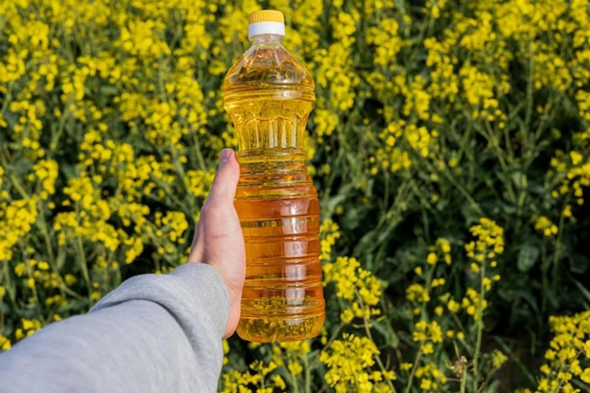 rapeseed oil and sunflower oil bottles in bright kitchen setting
