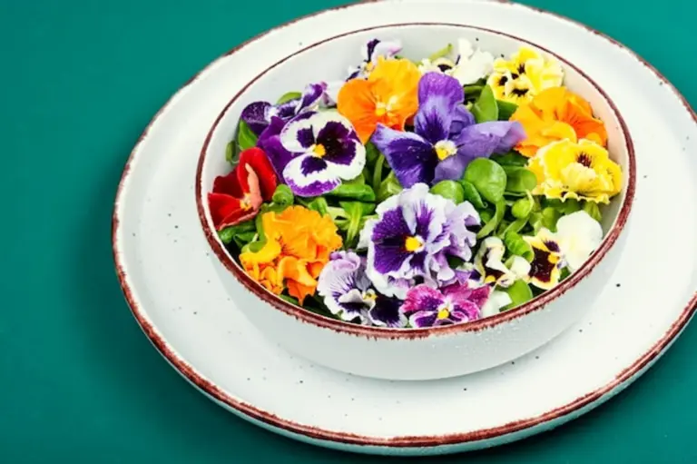 spring wild herbs cooking Germany