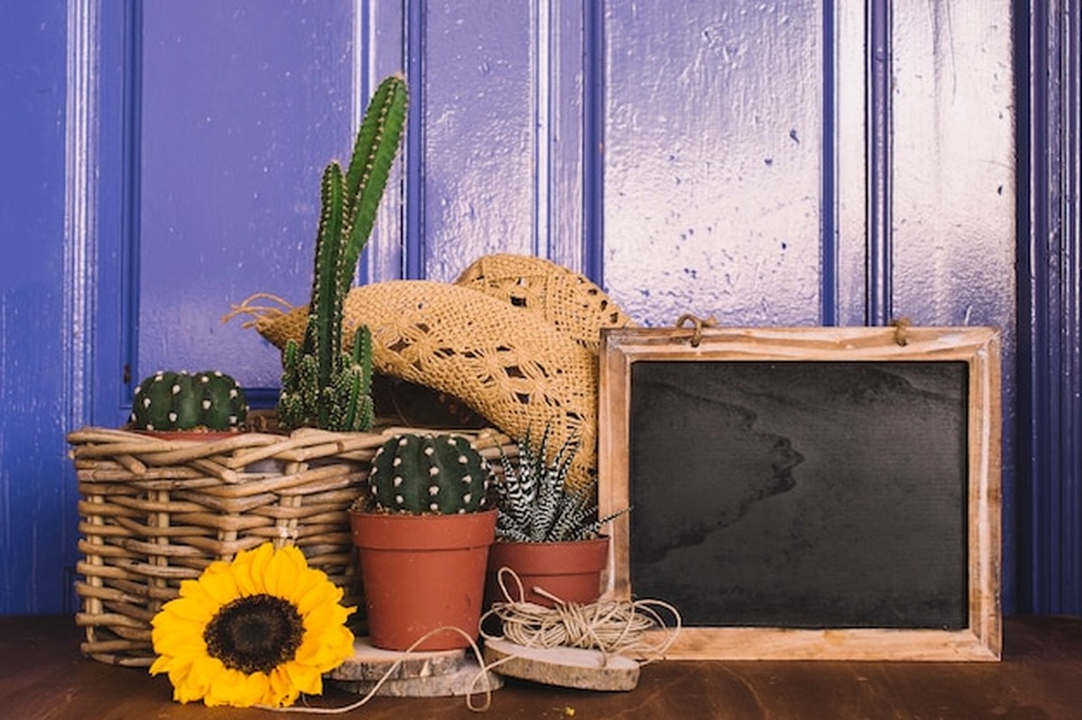 Alte Weihnachtsdeko wird zur neuen Gartendeko – so geht's