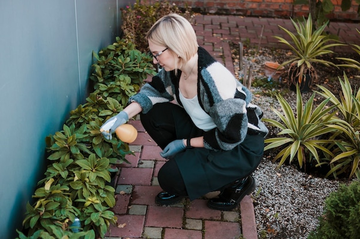 Боль в спине при работе в саду: как правильно сгибаться после 50