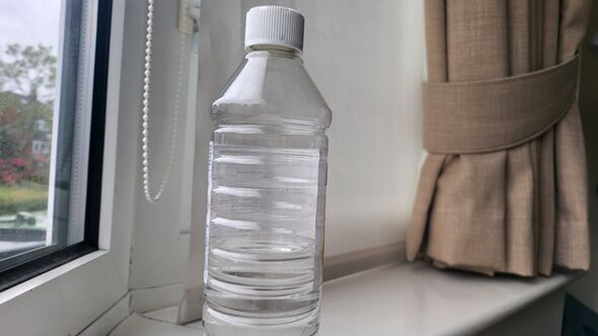 Essig auf der Fensterbank – warum Gärtner das nie auslassen