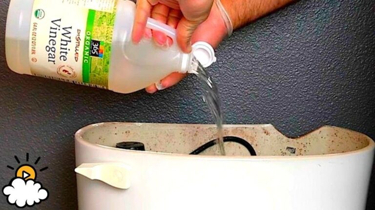 Essig hinter der Toilette – der Trick gegen hartnäckige Ablagerungen