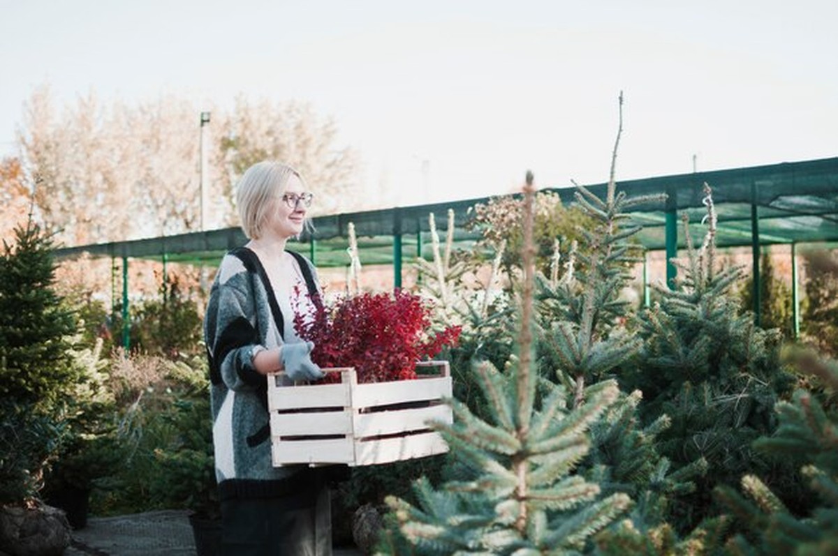 Für Menschen 50+: Gartenarbeit ohne Rückenschmerzen im Winter - image 1