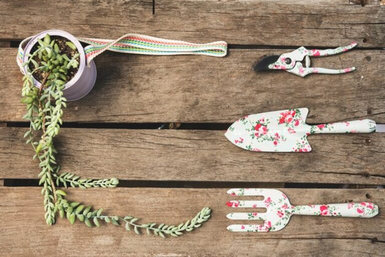 Gartenarbeit 50+: diese Geräte sparen dir Jahre an Rückenschmerzen