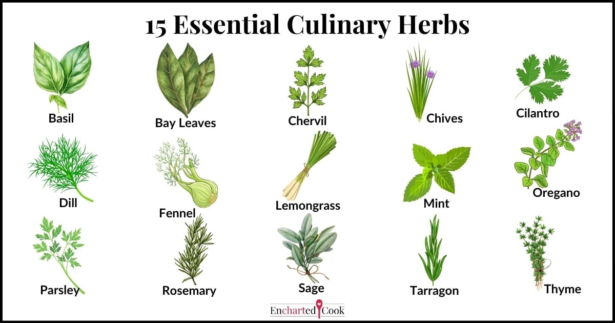 Gartenexperten gestehen: Das eine Kraut vertreibt 90% aller Schädlinge - image 2