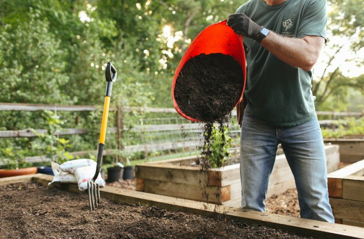Gärtner verraten: Warum Sie Kaffeesatz nicht auf den Kompost werfen sollten - image 2