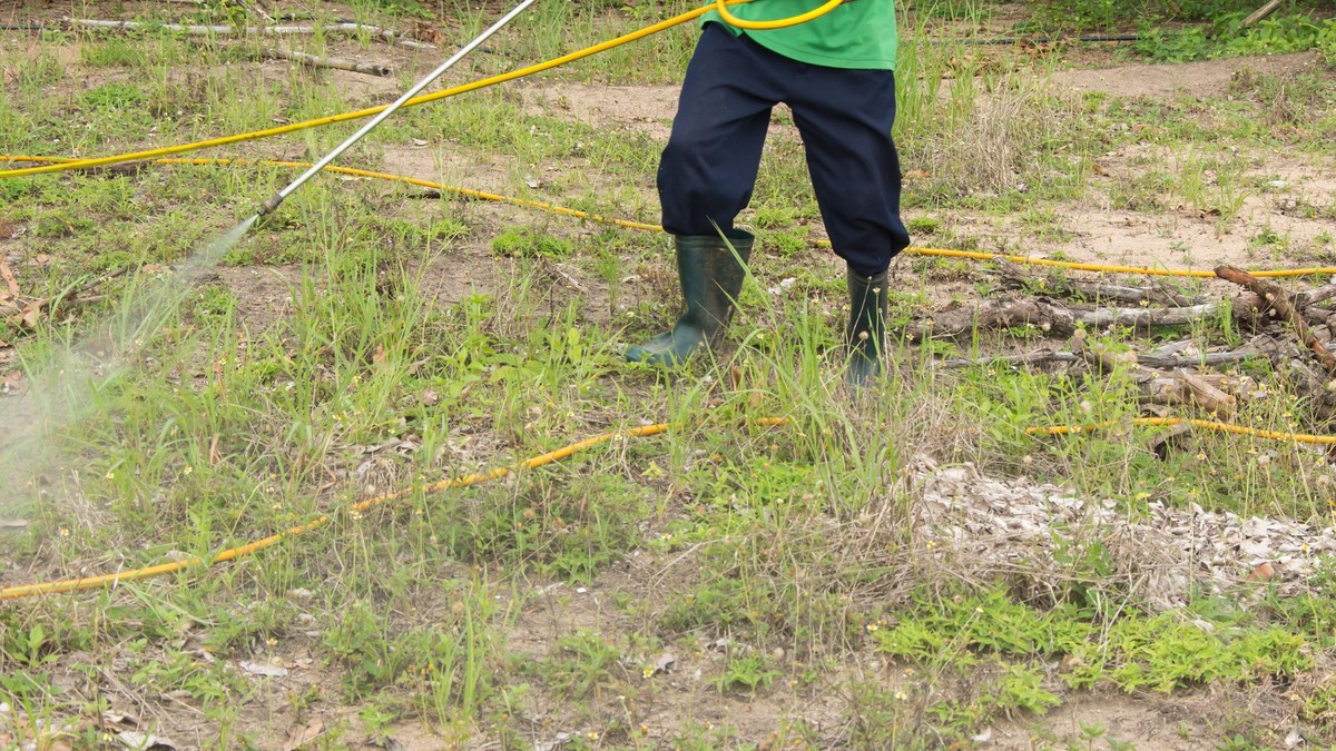 Gärtner warnen: Diese Unkrautvernichter zerstören Ihren Boden dauerhaft - image 1