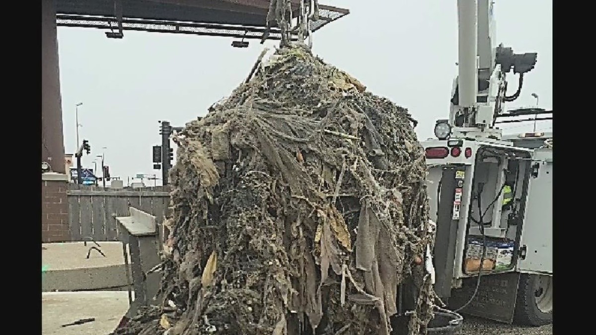 Installateure warnen: Diese drei Dinge gehören niemals ins Abwasser - image 2