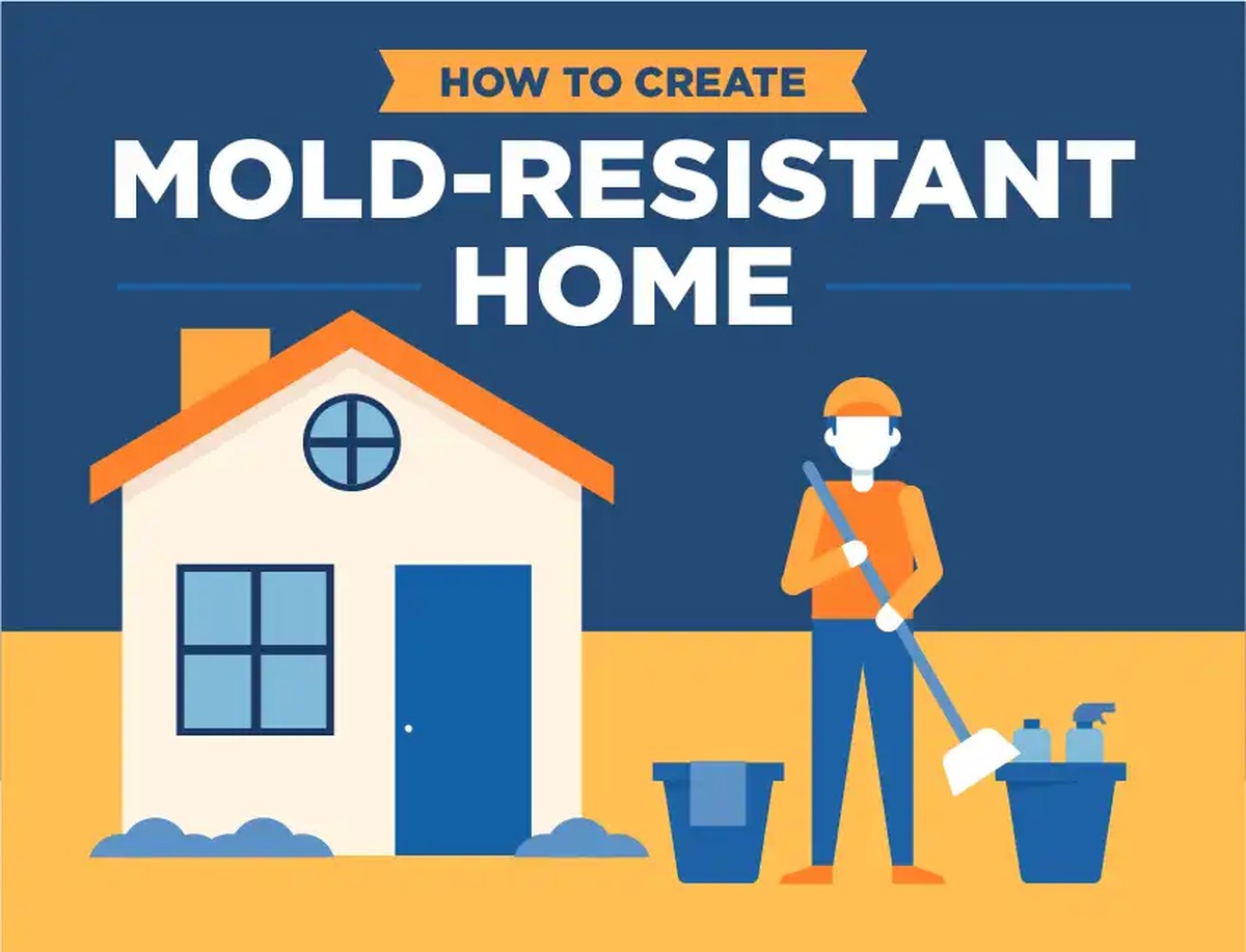 Kaffeesatz hinter der Heizung: Wie Gärtner Schimmel für 0€ verhindern - image 2