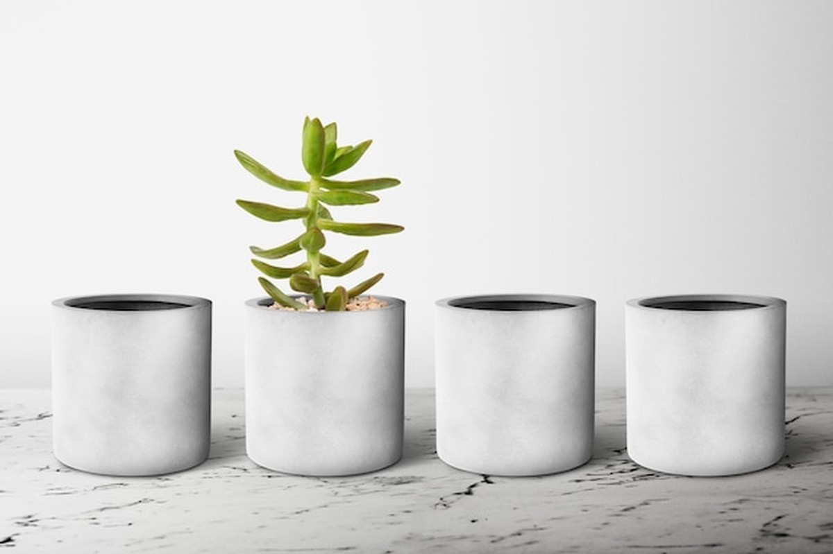 Keramik oder Kunststoff: Welcher Topf macht Ihre Pflanzen glücklich