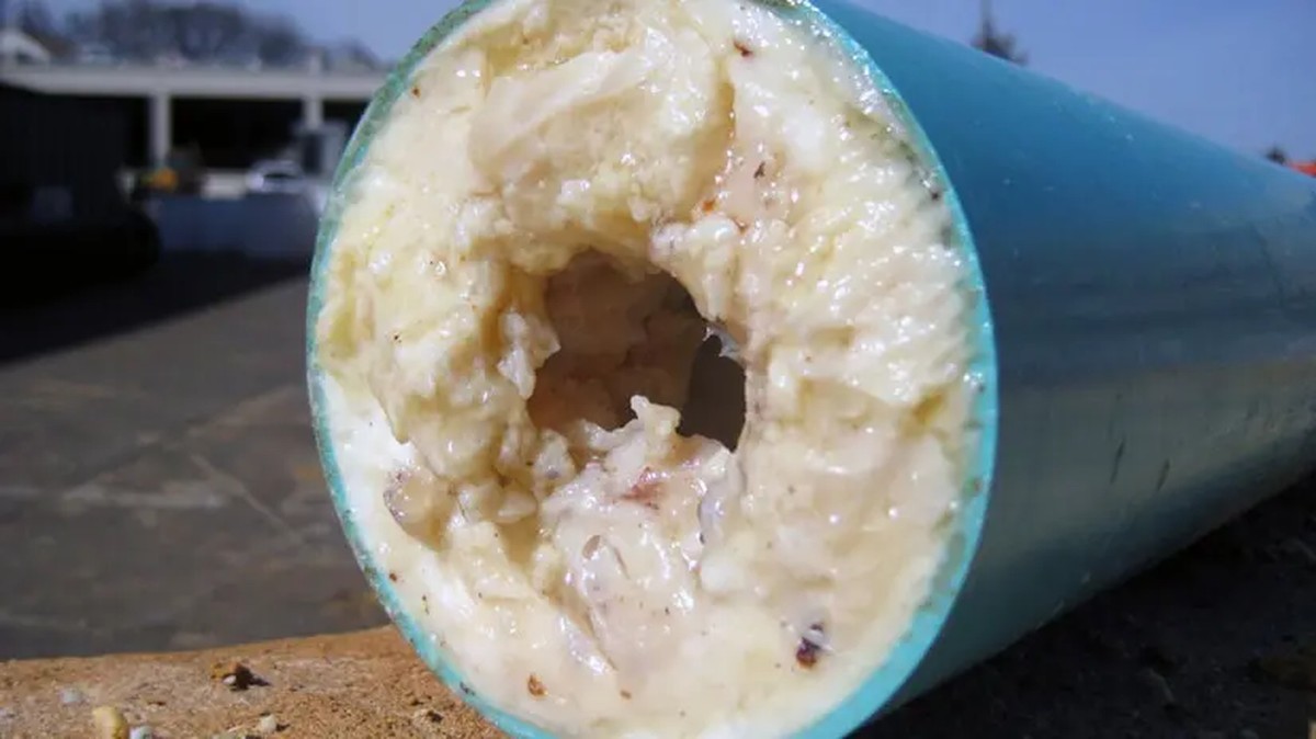 Klempner warnen: Dieses Öl darf niemals ins Abflussrohr - image 1