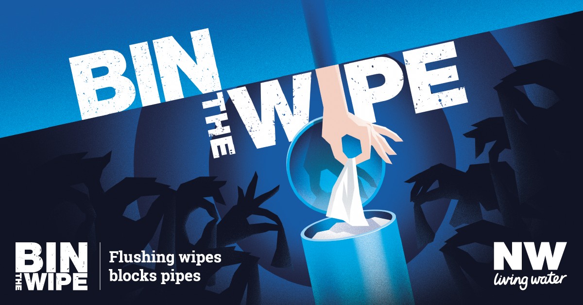 Klempner warnen: Diese 3 Dinge gehören niemals in die Toilette - image 2