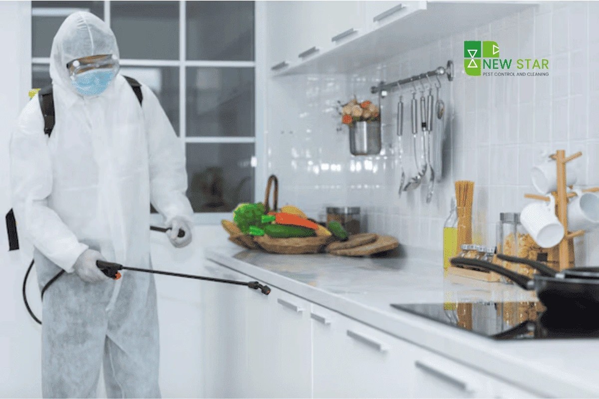 Lorbeerblatt ins Mehl – das jahrhundertealte Geheimnis gegen Vorratsschädlinge - image 2