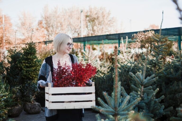 Nach 50: Warum Gartenarbeit im Winter so gesund für Sie ist