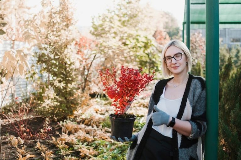 Огород в декабре: 5 дел, которые сделают будущий урожай богаче