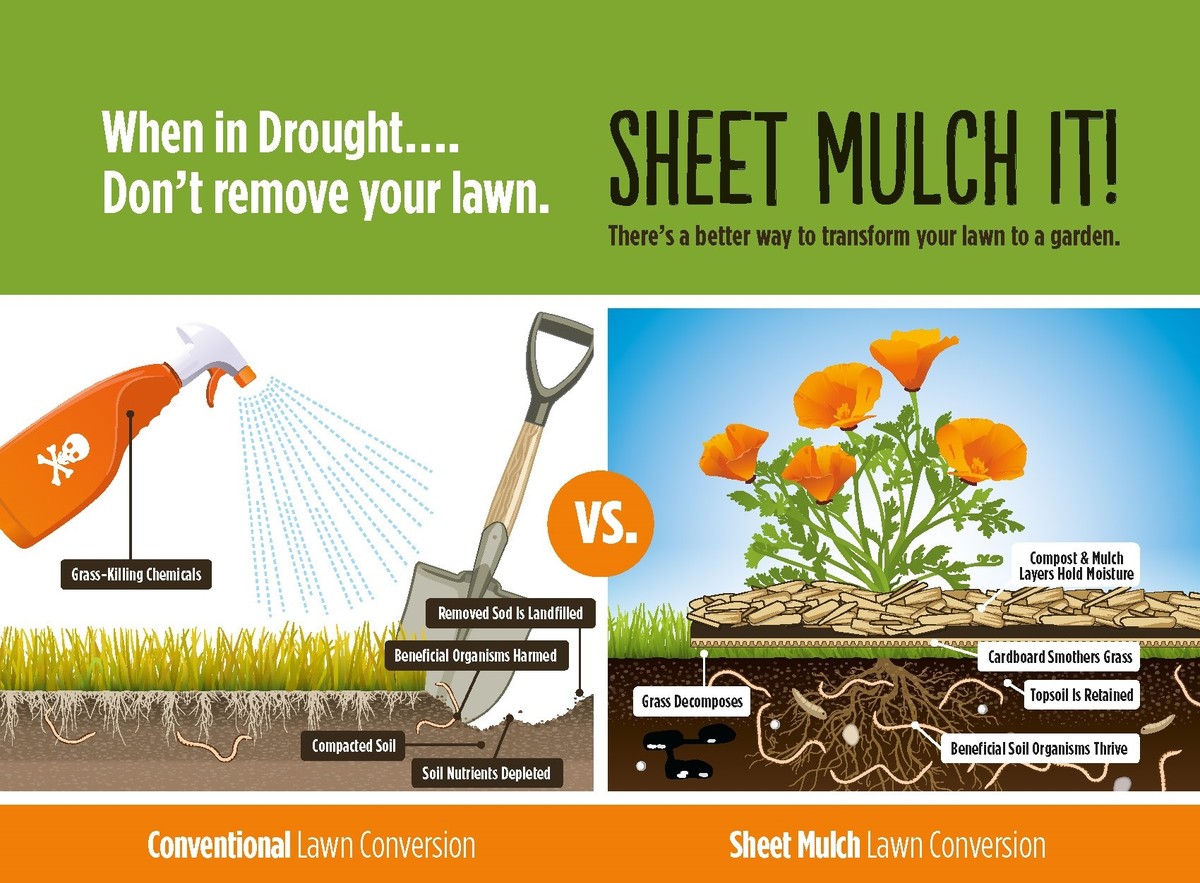 Pizzakartons im Garten auslegen: Der Permaculture-Hack gegen Unkraut - image 2