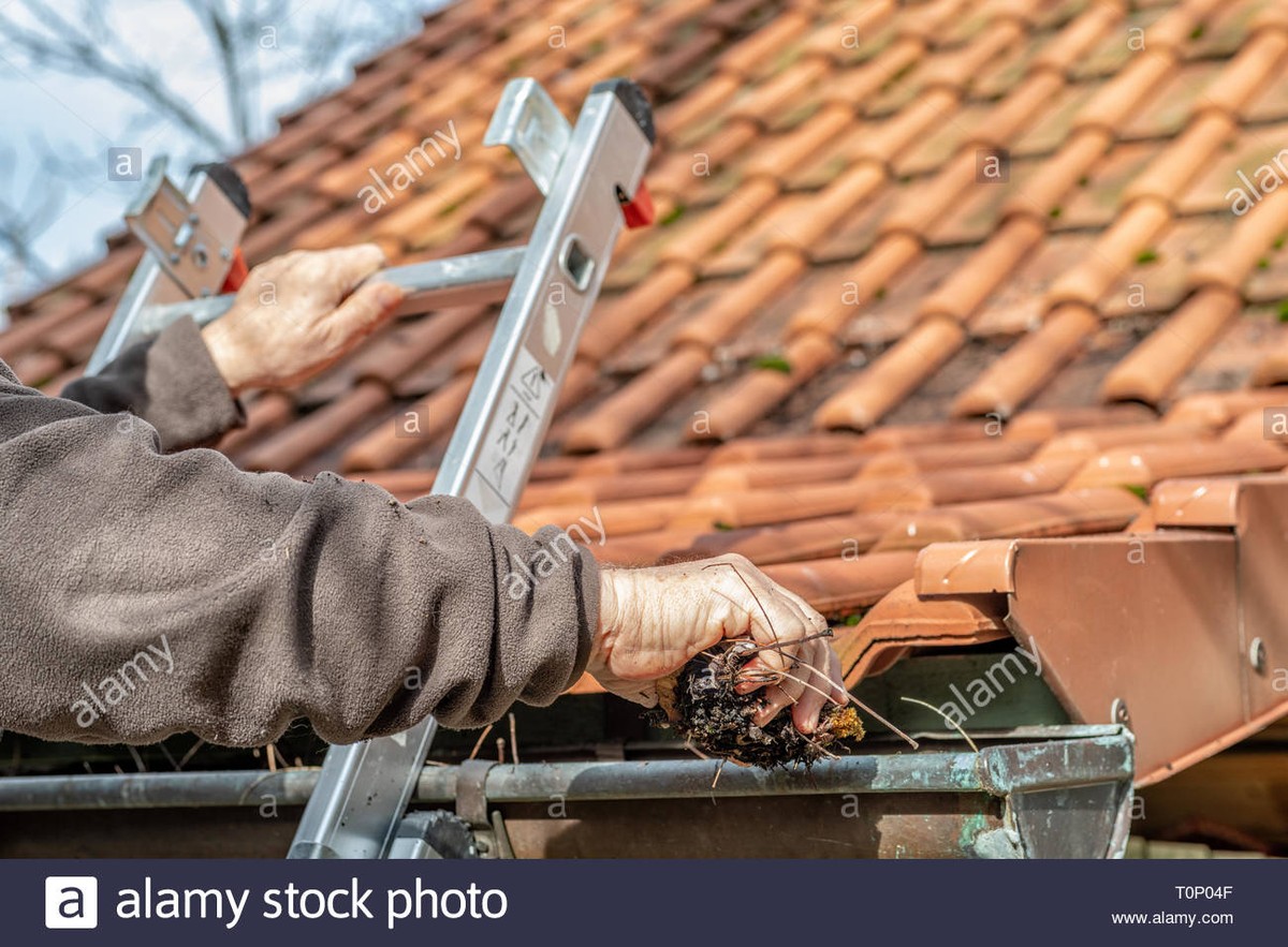 Plastikflaschen als Dachrinnen-Reiniger – das Geheimnis der Hausmeister - image 2
