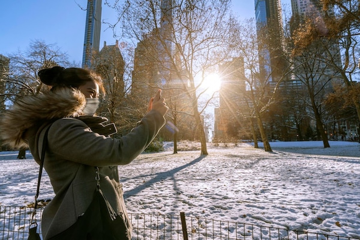 Подготовка сада к зиме: чек-лист для спокойной весны - image 2