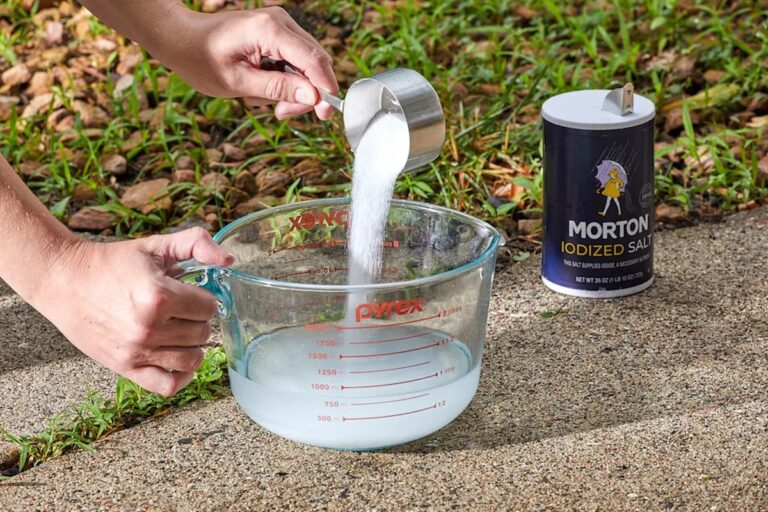 Salzwasser für den Gartenweg: Wie Sie Unkraut ohne Chemie besiegen