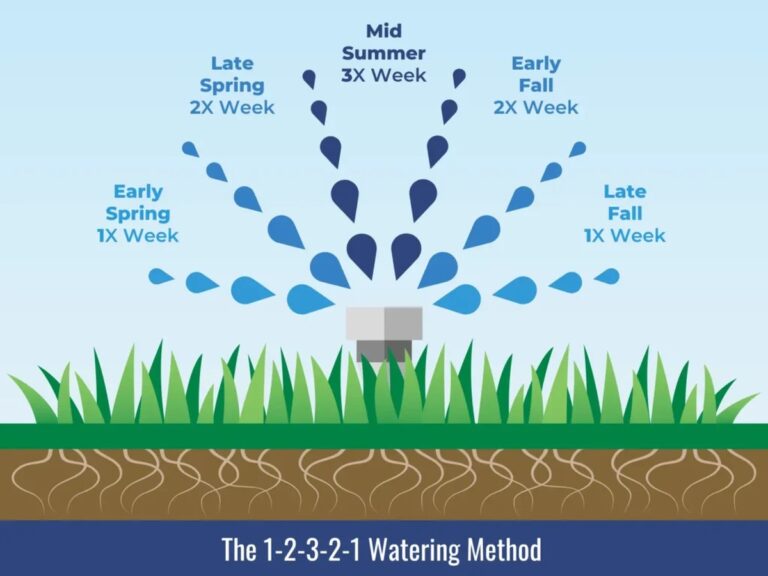 Was Gartenexperten verschweigen: Das richtige Gießen im Frühling