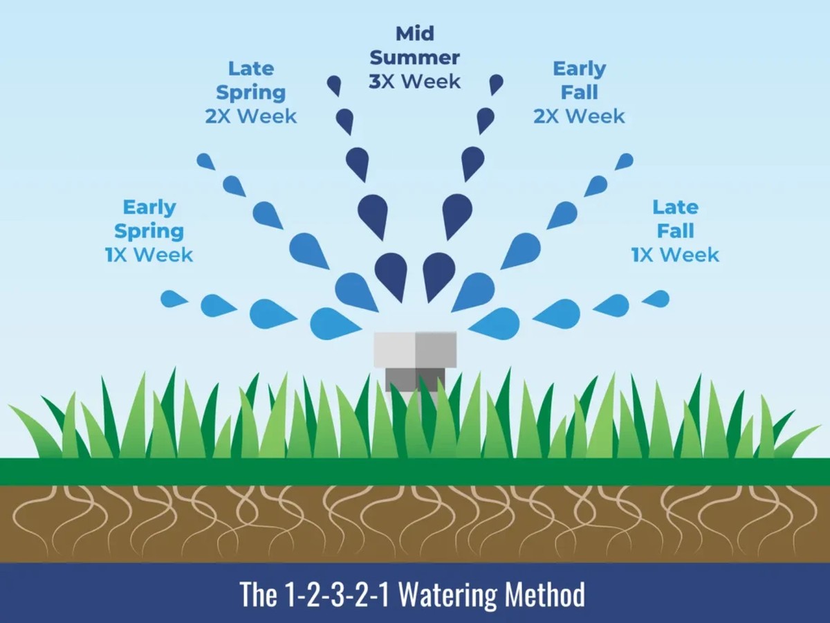 Was Gartenexperten verschweigen: Das richtige Gießen im Frühling