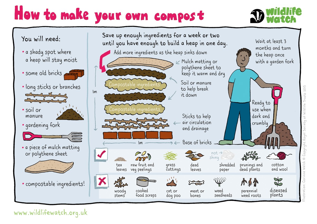 Was Gärtner zuerst im Frühling machen – und warum es alle falsch verstehen - image 2