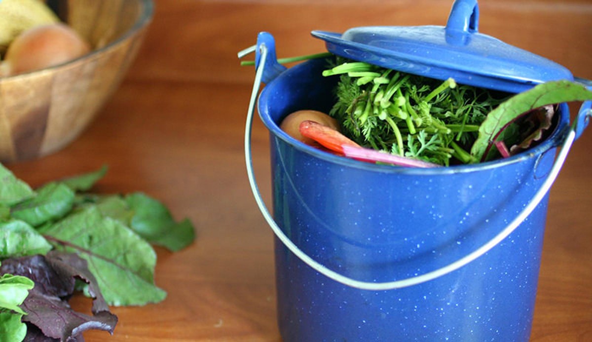 Wirft ihr die Kartoffelschalen weg? Große Fehler für den Garten - image 1