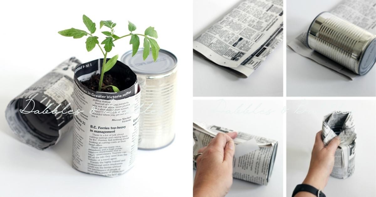 Zeitungspapier im Blumentopf senkt die Gießfrequenz um 40 Prozent - image 2