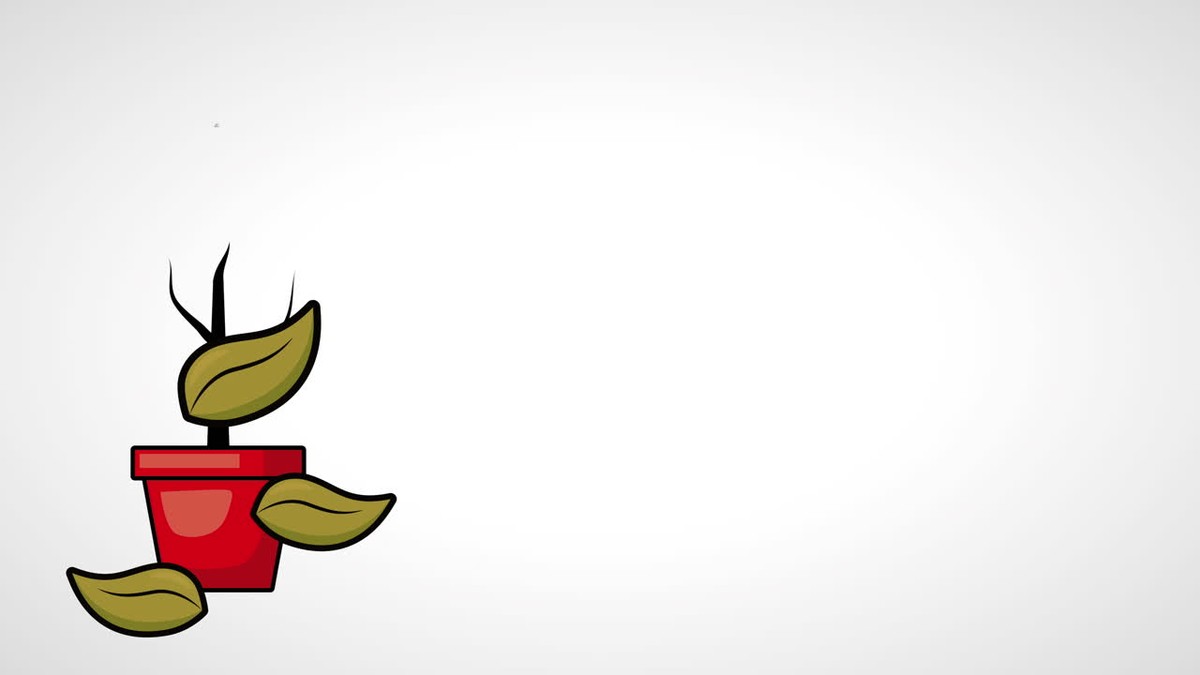 Zimmerpflanzen im Winter: Warum Sie sie falsch gießen - image 2