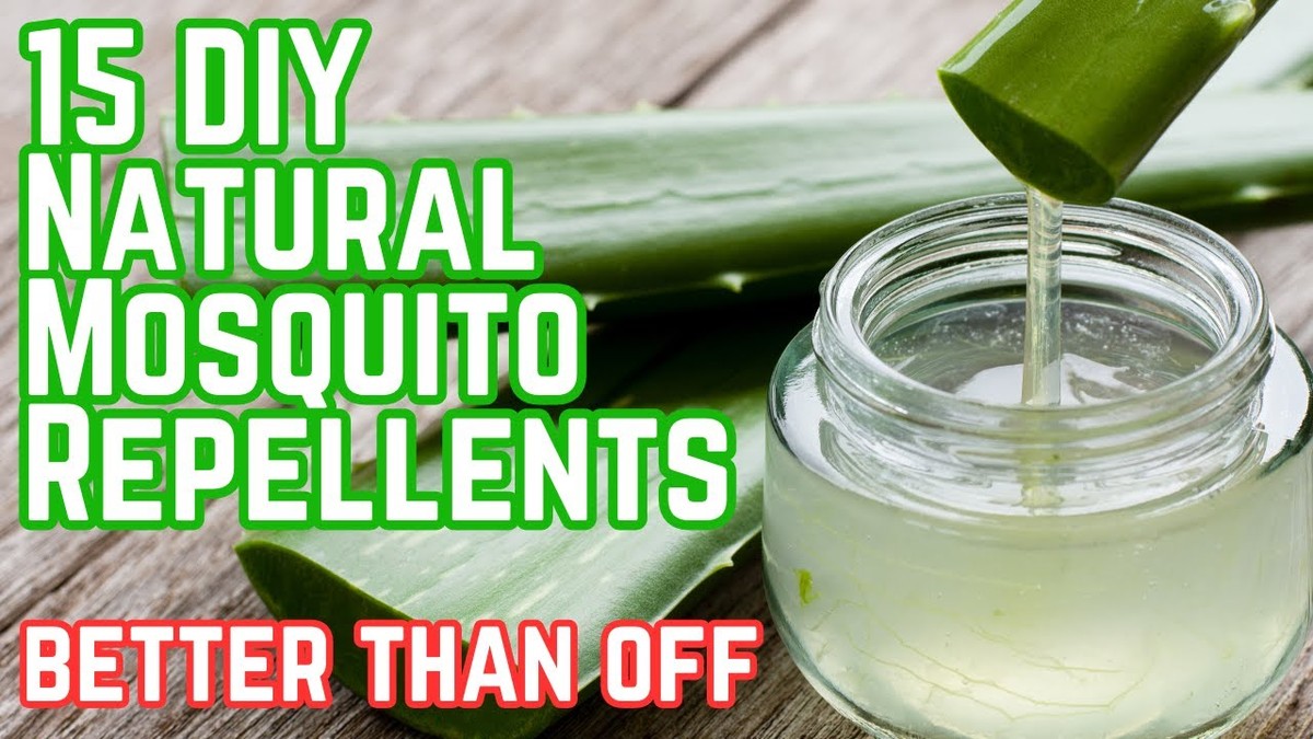 Zwiebelnetz gegen Mücken im Garten – die biologische Waffe, die kostenlos funktioniert - image 1