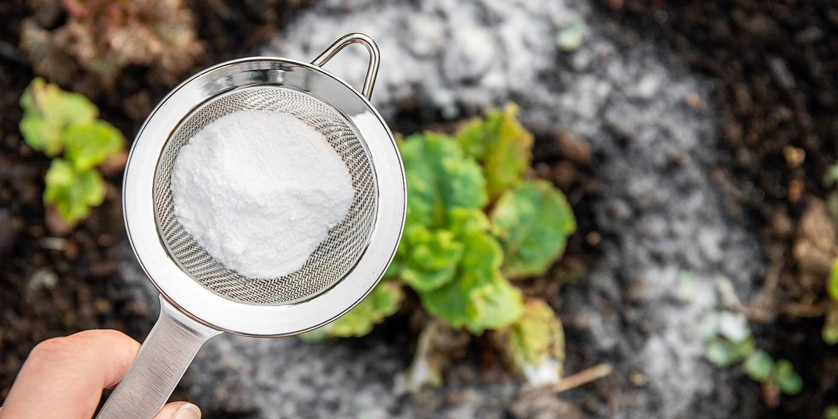 Backpulver auf der Matratze – was nach 20 Minuten passiert, ist erstaunlich - image 2