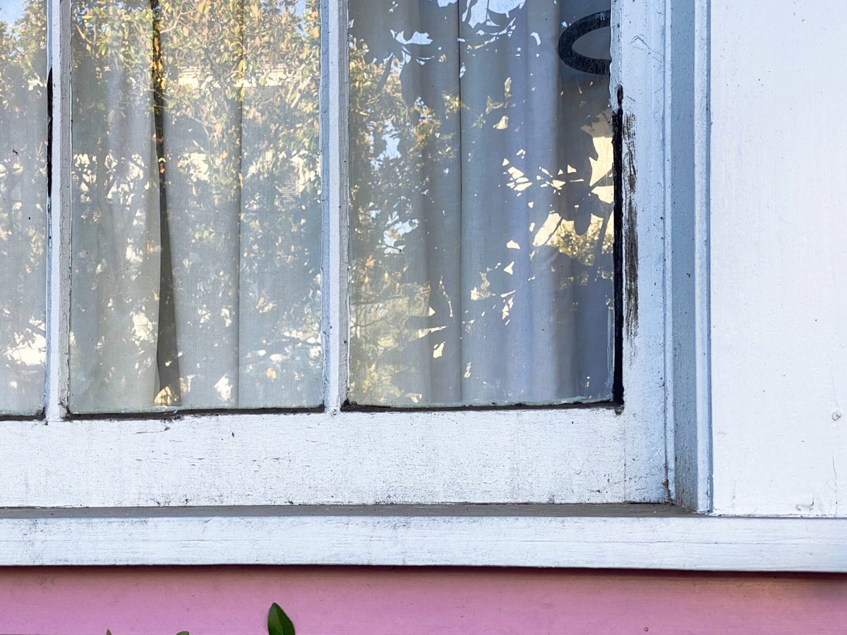 Essig auf Fensterkitt: Der alte Trick gegen Schimmel in 48 Stunden - image 1