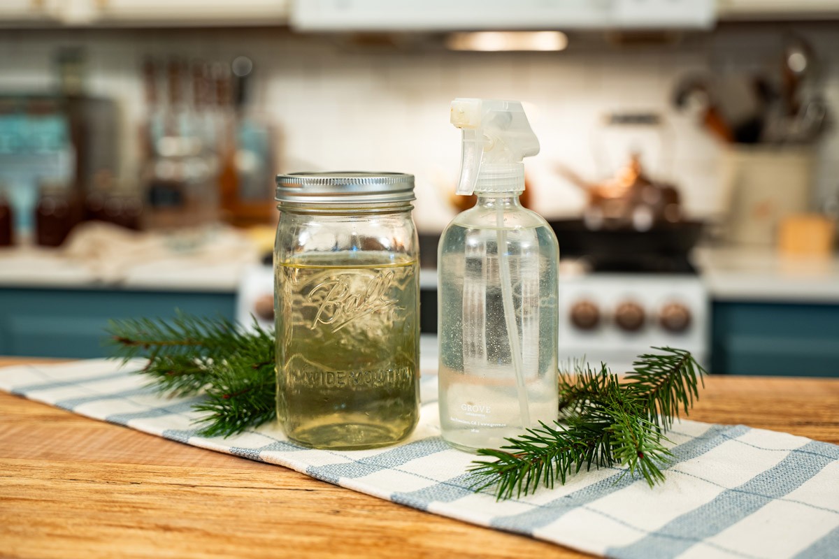 Essigessenz auf der Fensterbank: Warum Insekten sofort verschwinden - image 1