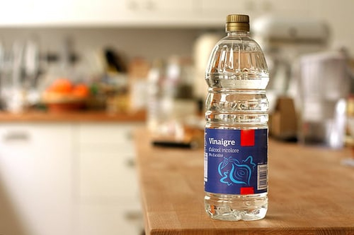 Essigessenz im Gießwasser: Wie Ihre Zimmerpflanzen 40% schneller wachsen - image 2