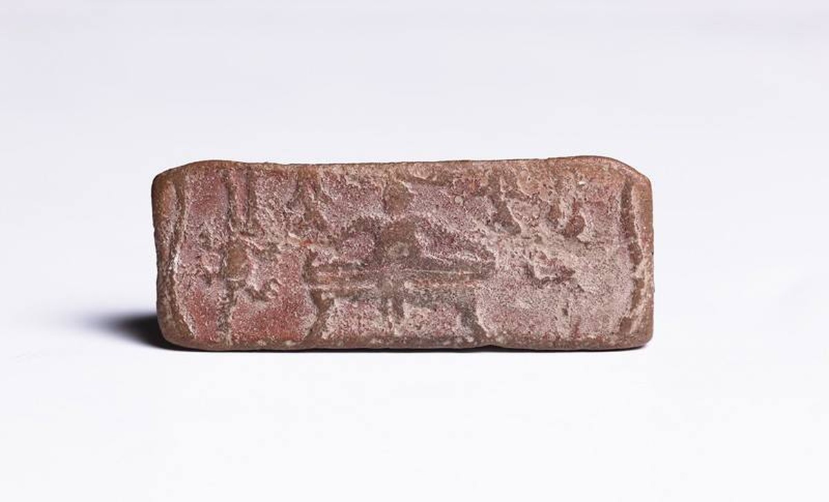 Essig in den Blumentopf: Wie Sie Kalkflecken dauerhaft vermeiden - image 2