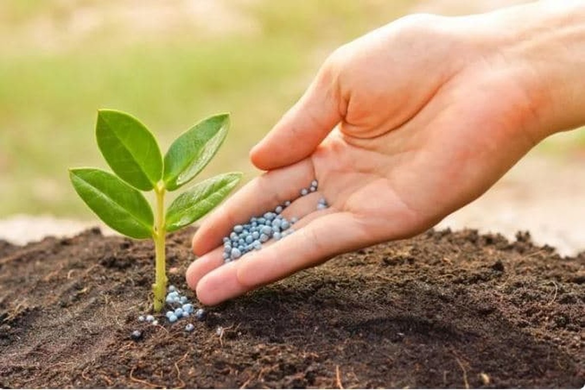Gärtner warnen: Diese eine Düngemischung zerstört Ihren Boden dauerhaft