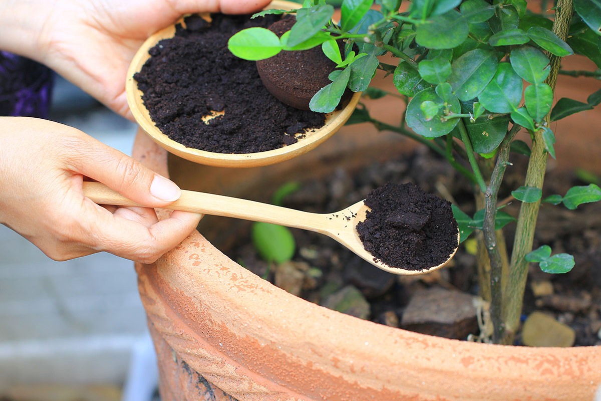 Kaffeesatz hinter der Heizung: So sparst du 25% Energiekosten - image 1