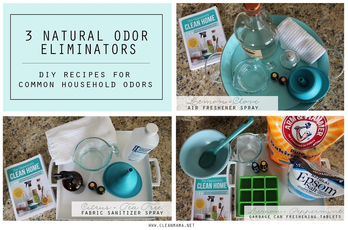 Kaffeesatz hinter den Heizkörper: Wie Sie Gerüche für 0€ neutralisieren - image 2