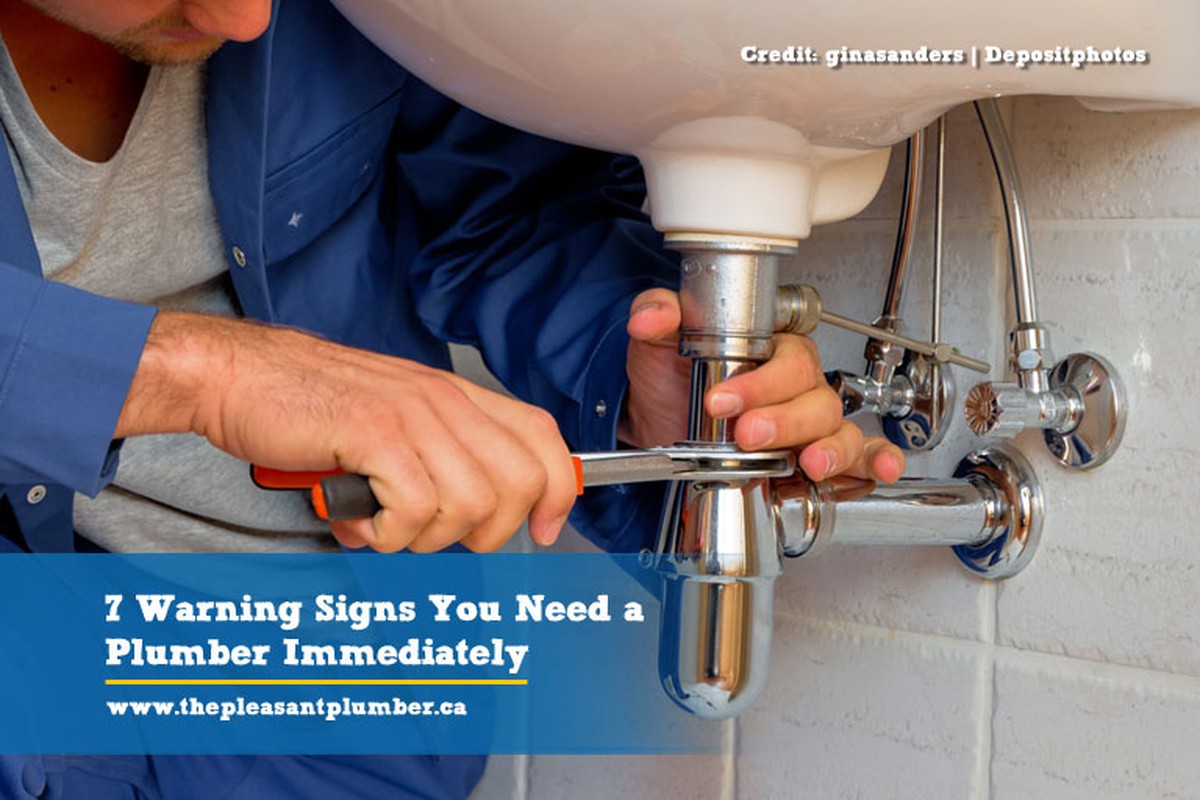 Klempner warnen: Diese fünf Dinge gehören niemals in die Toilette - image 1