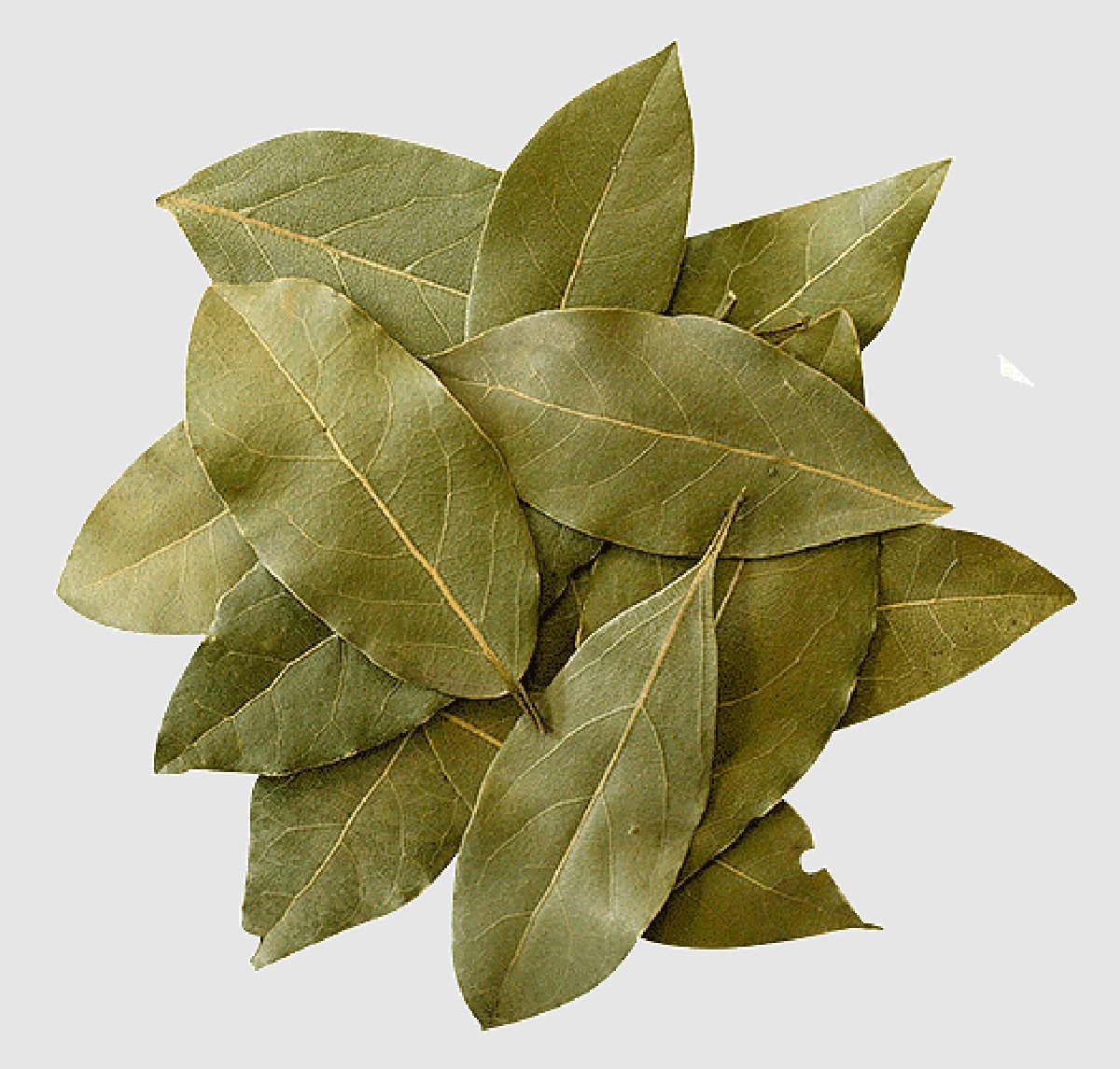 Lorbeerblatt ins Mehl – das jahrhundertealte Geheimnis gegen Vorratsschädlinge - image 2