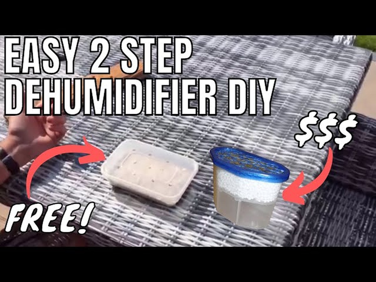 Salzstreuer mit Reis gefüllt: Wie Gärtner feuchte Fensterbretter retten - image 2