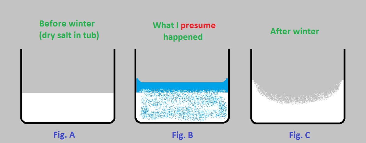 Salzstreuer statt Salz: Wie Sie Schimmel in der Wohnung dauerhaft besiegen - image 2
